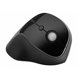 Kensington Pro Fit Ergo Vertical Wireless Mouse