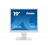 iiyama ProLite B1980D-W5 - Monitor LED - 19\\\"