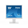 iiyama ProLite B1980D-W5 - Monitor LED - 19\\\"