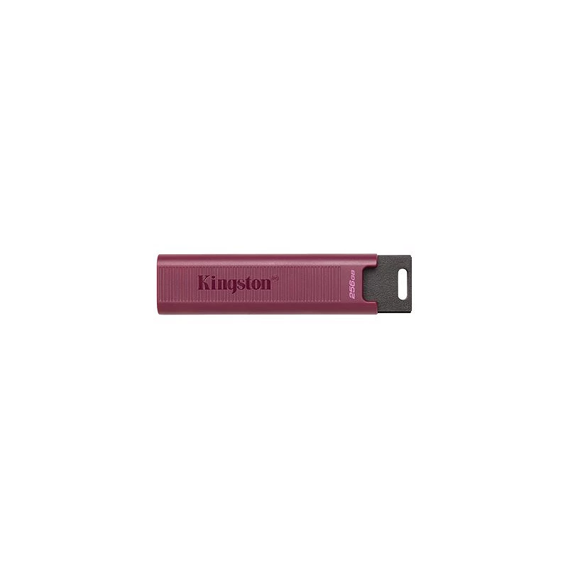 Kingston DataTraveler Max - Unidad flash USB