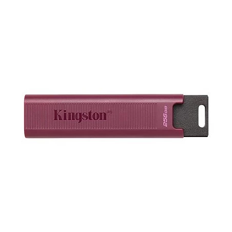 Kingston DataTraveler Max - Unidad flash USB