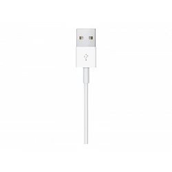 Apple Magnetic - Cable de carga de teléfono inteligente