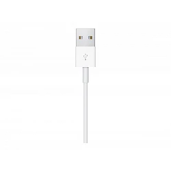 Apple Magnetic - Cable de carga de teléfono inteligente