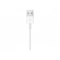 Apple Magnetic - Cable de carga de teléfono inteligente