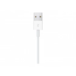 Apple Magnetic - Cable de carga de teléfono inteligente