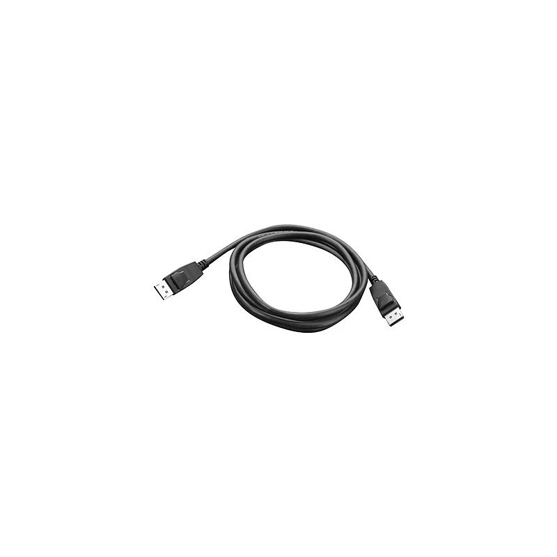 Lenovo - Cable DisplayPort - DisplayPort (M) a DisplayPort (M)