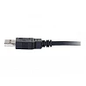 C2G 1m USB Cable - USB A to USB A - M/M - Cable USB