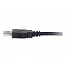 C2G 1m USB Cable - USB A to USB A - M/M - Cable USB