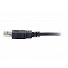 C2G 2m USB Cable - USB 2.0 A to USB A - M/M