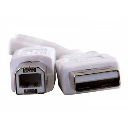 C2G - Cable USB - USB (M) a USB Tipo B (M)