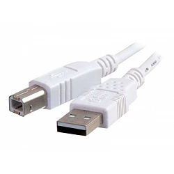 C2G - Cable USB - USB (M) a USB Tipo B (M)