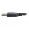 C2G - Cable USB - USB Tipo A (M) a USB Tipo A (M)