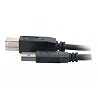 C2G - Cable USB - USB Tipo A (M) a USB Type B (M)