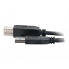 C2G - Cable USB - USB Tipo A (M) a USB Type B (M)