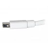 C2G 1m Mini DisplayPort Cable 4K UHD M/M - White