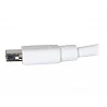 C2G 3m Mini DisplayPort Cable 4K UHD M/M - White