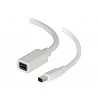 C2G 1m Mini DisplayPort Extension Cable M/F