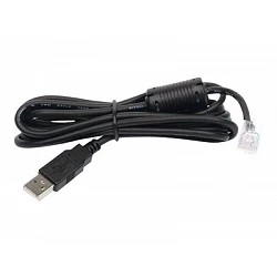 APC - Cable USB - USB (M) a RJ-45 (10 patillas) (M)