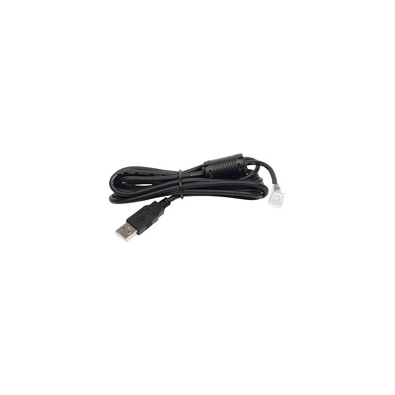 APC - Cable USB - USB (M) a RJ-45 (10 patillas) (M)