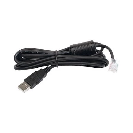 APC - Cable USB - USB (M) a RJ-45 (10 patillas) (M)