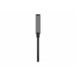 Belkin - Adaptador de vídeo - DisplayPort macho a HDMI hembra