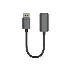 Belkin - Adaptador de vídeo - DisplayPort macho a HDMI hembra