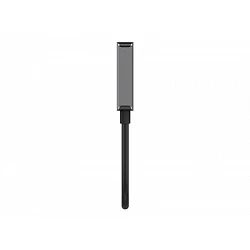 Belkin - Adaptador de vídeo - DisplayPort macho a HDMI hembra