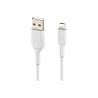 Belkin BOOST CHARGE - Cable Lightning - Lightning macho a USB macho