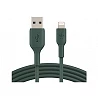 Belkin BOOST CHARGE - Cable Lightning - Lightning macho a USB macho