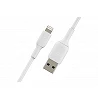 Belkin BOOST CHARGE - Cable Lightning - Lightning macho a USB macho