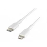 Belkin BOOST CHARGE - Cable Lightning - 24 pin USB-C macho a Lightning macho