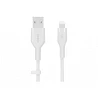 Belkin BOOST CHARGE - Cable Lightning - USB macho a Lightning macho