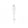 Belkin BOOST CHARGE - Cable Lightning - 24 pin USB-C macho a Lightning macho