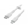 Belkin BOOST CHARGE - Cable Lightning - 24 pin USB-C macho a Lightning macho