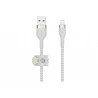 Belkin BOOST CHARGE - Cable Lightning - USB macho a Lightning macho