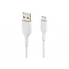 Belkin BOOST CHARGE - Cable USB - 24 pin USB-C (M) a USB (M)