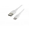 Belkin BOOST CHARGE - Cable USB - 24 pin USB-C (M) a USB (M)