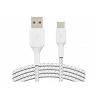 Belkin BOOST CHARGE - Cable USB - 24 pin USB-C (M) a USB (M)