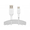 Belkin BOOST CHARGE - Cable USB - 24 pin USB-C (M) a USB (M)