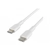 Belkin BOOST CHARGE - Cable USB - 24 pin USB-C (M) a 24 pin USB-C (M)