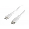 Belkin BOOST CHARGE - Cable USB - 24 pin USB-C (M) a 24 pin USB-C (M)