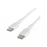 Belkin BOOST CHARGE - Cable USB - 24 pin USB-C (M) a 24 pin USB-C (M)