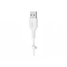 Belkin BOOST CHARGE - Cable USB - USB (M) a 24 pin USB-C (M)