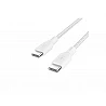 Belkin BOOST CHARGE - Cable USB - 24 pin USB-C (M) a 24 pin USB-C (M)