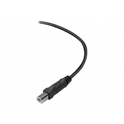 Belkin Premium Printer Cable - Cable USB - USB Tipo B (M) a USB (M)