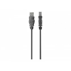 Belkin Premium Printer Cable - Cable USB - USB Tipo B (M) a USB (M)