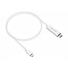 HyperDrive - Cable adaptador - 24 pin USB-C macho a HDMI macho