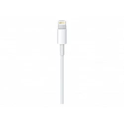 Apple - Cable Lightning - Lightning macho a USB macho