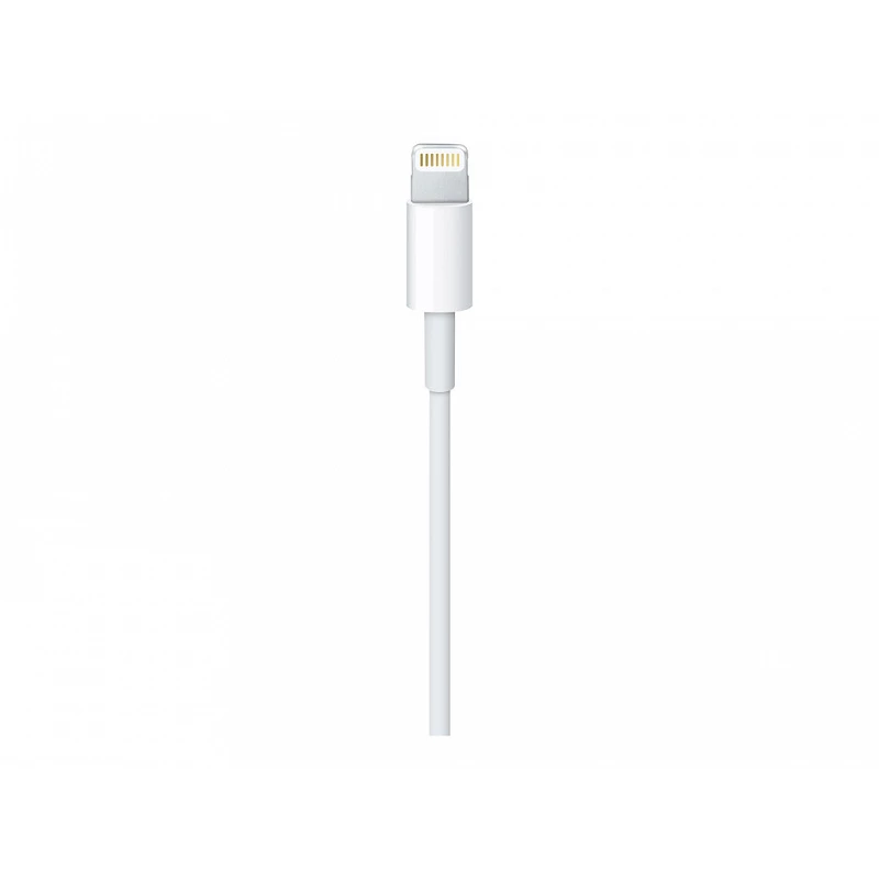 Apple - Cable Lightning - Lightning macho a USB macho