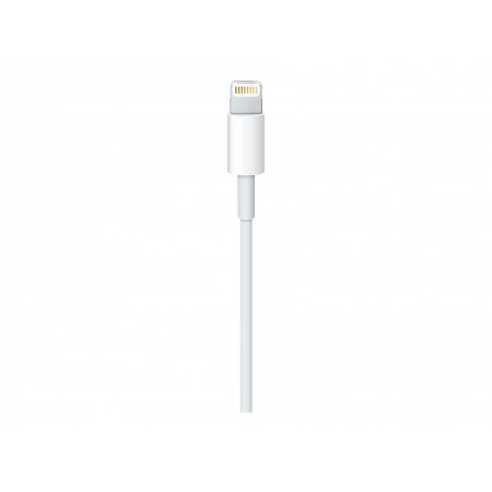 Apple - Cable Lightning - Lightning macho a USB macho